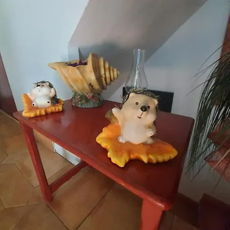 Private Inca Center Homestay Inca (Mallorca)